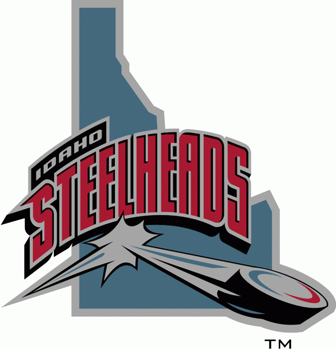 idaho steelheads 2004-2006 alternate logo iron on heat transfer